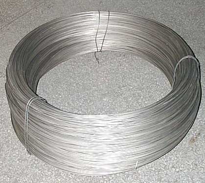 304P䓽z